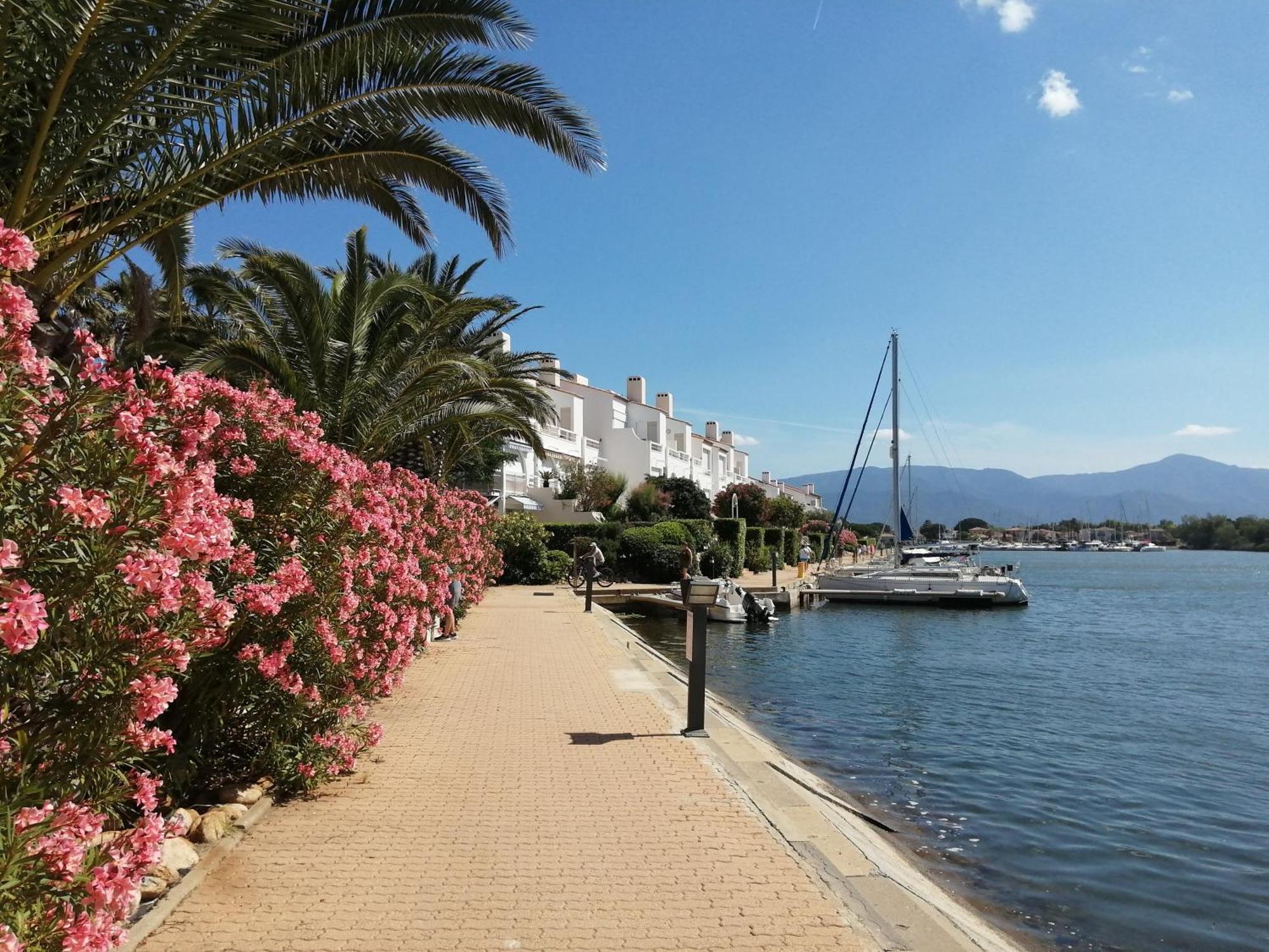 Vue Lagune Et Bateaux A 100M De La Plage Saint-Cyprien  Buitenkant foto